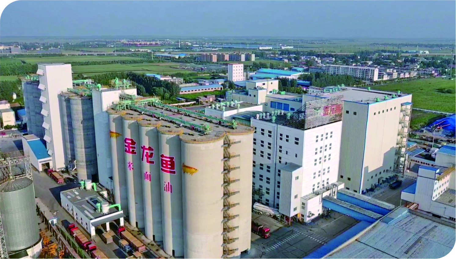 华泰承建益海嘉里油脂完美体育(中国)官方网站-让运动改变生活项目