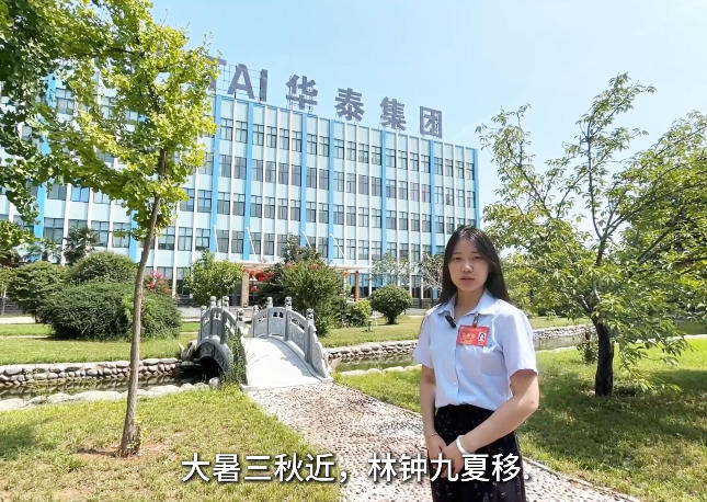 暑气正盛，匠心更炽——致敬华泰一线耕耘者